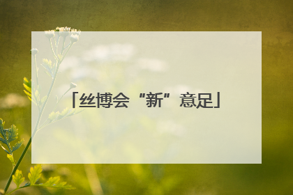 丝博会“新”意足