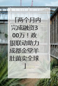 两个月内完成融资300万！政银联动助力成都金堂羊肚菌卖全球