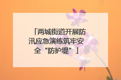 两城街道开展防汛应急演练筑牢安全“防护堤”