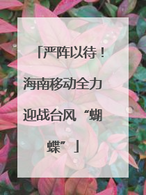 严阵以待！海南移动全力迎战台风“蝴蝶”