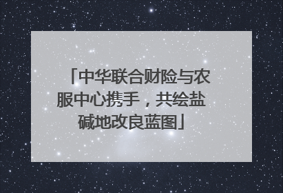 中华联合财险与农服中心携手，共绘盐碱地改良蓝图