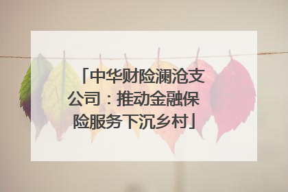中华财险澜沧支公司：推动金融保险服务下沉乡村
