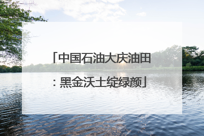 中国石油大庆油田：黑金沃土绽绿颜