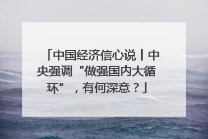 中国经济信心说丨中央强调“做强国内大循环”，有何深意？