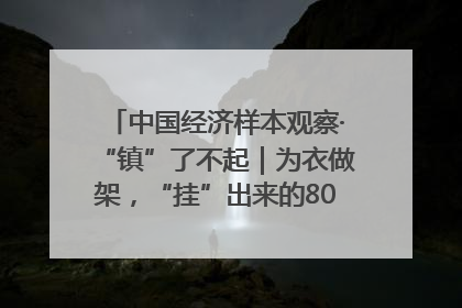 中国经济样本观察·“镇”了不起｜为衣做架，“挂”出来的80亿元“衣架产业”