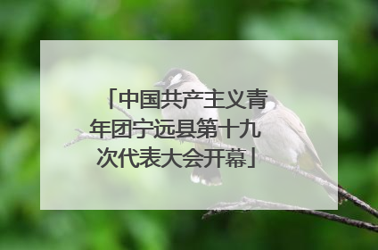 中国共产主义青年团宁远县第十九次代表大会开幕