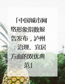 中国城市网络形象指数报告发布，泸州：治理、宜居方面的双优典范