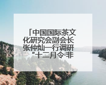 中国国际茶文化研究会副会长张仲灿一行调研“十二月令·非遗茶空间”