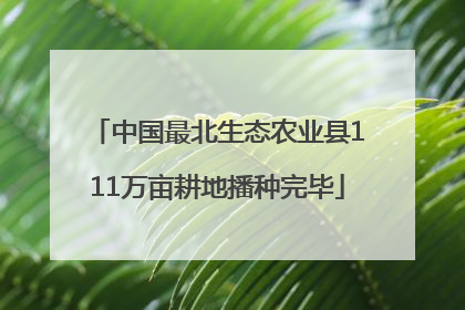 中国最北生态农业县111万亩耕地播种完毕