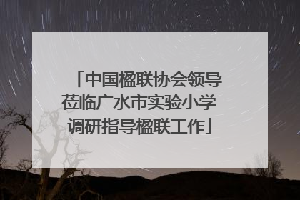 中国楹联协会领导莅临广水市实验小学调研指导楹联工作