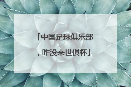 中国足球俱乐部，咋没来世俱杯