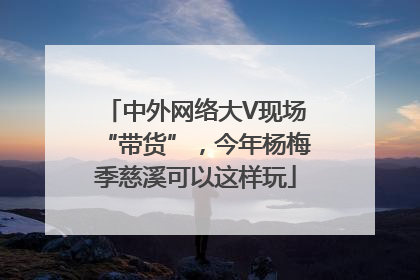 中外网络大V现场“带货”，今年杨梅季慈溪可以这样玩