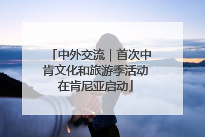 中外交流｜首次中肯文化和旅游季活动在肯尼亚启动