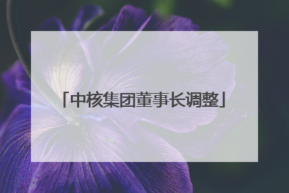 中核集团董事长调整