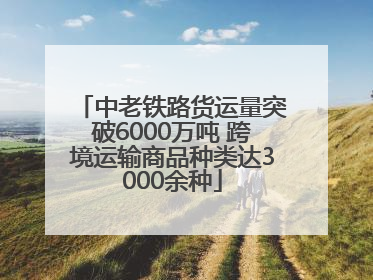 中老铁路货运量突破6000万吨 跨境运输商品种类达3000余种
