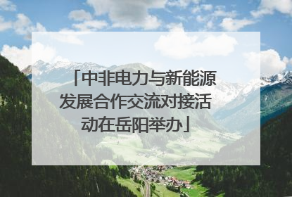 中非电力与新能源发展合作交流对接活动在岳阳举办