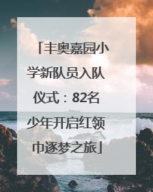 丰奥嘉园小学新队员入队仪式：82名少年开启红领巾逐梦之旅