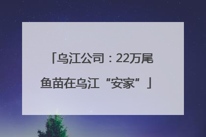 乌江公司：22万尾鱼苗在乌江“安家”
