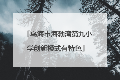 乌海市海勃湾第九小学创新模式有特色