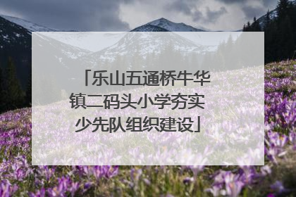 乐山五通桥牛华镇二码头小学夯实少先队组织建设