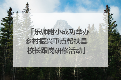 乐师附小成功举办乡村振兴重点帮扶县校长跟岗研修活动