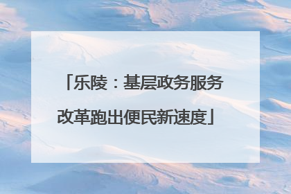 乐陵：基层政务服务改革跑出便民新速度