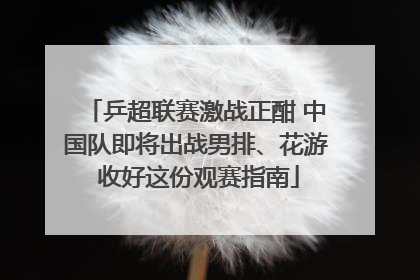乒超联赛激战正酣 中国队即将出战男排、花游 收好这份观赛指南