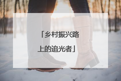 乡村振兴路上的追光者
