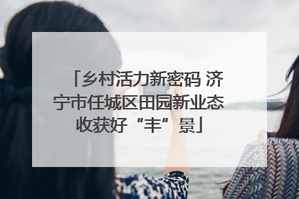 乡村活力新密码 济宁市任城区田园新业态收获好“丰”景