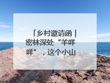 乡村邀请函｜密林深处“羊咩咩”，这个小山村如何逆袭？
