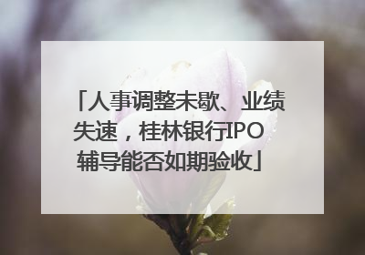 人事调整未歇、业绩失速，桂林银行IPO辅导能否如期验收