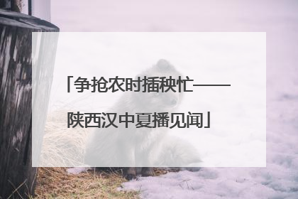 争抢农时插秧忙——陕西汉中夏播见闻