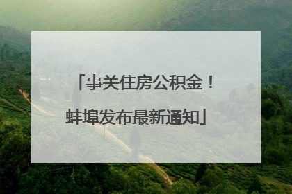 事关住房公积金！蚌埠发布最新通知