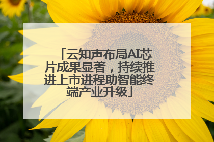 云知声布局AI芯片成果显著，持续推进上市进程助智能终端产业升级