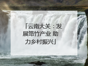 云南大关：发展筇竹产业 助力乡村振兴