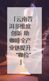 云南普洱多维度创新 助咖啡全产业链提升“咖位”