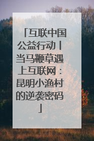 互联中国公益行动丨当马鞭草遇上互联网：昆明小渔村的逆袭密码