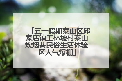五一假期泰山区邱家店镇王林坡村泰山炊烟巷民俗生活体验区人气爆棚