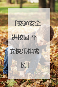 交通安全进校园 平安快乐伴成长