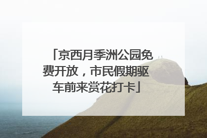京西月季洲公园免费开放，市民假期驱车前来赏花打卡