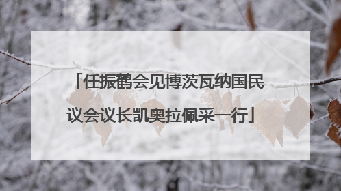 任振鹤会见博茨瓦纳国民议会议长凯奥拉佩采一行