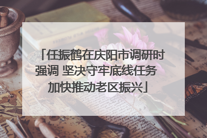 任振鹤在庆阳市调研时强调 坚决守牢底线任务 加快推动老区振兴