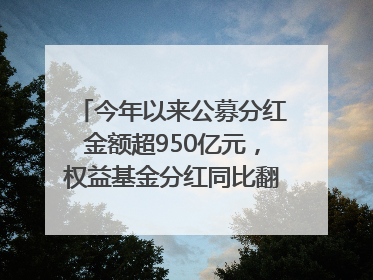 今年以来公募分红金额超950亿元，权益基金分红同比翻倍｜招财猫