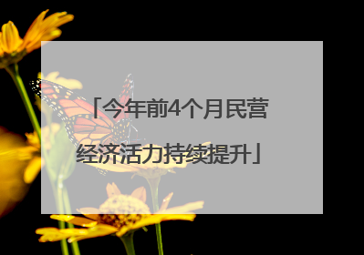 今年前4个月民营经济活力持续提升