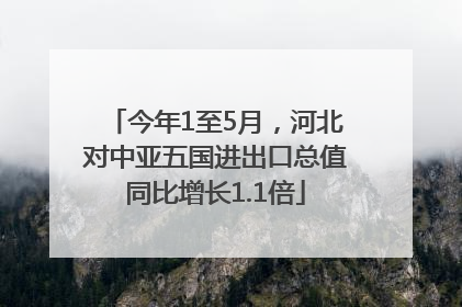 今年1至5月，河北对中亚五国进出口总值同比增长1.1倍