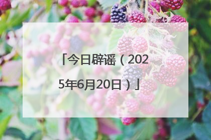 今日辟谣（2025年6月20日）