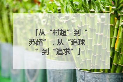 从“村超”到“苏超”，从“追球”到“追求”