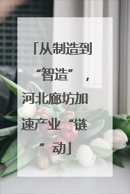从制造到“智造”，河北廊坊加速产业“链”动