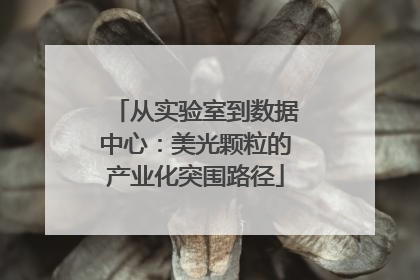 从实验室到数据中心：美光颗粒的产业化突围路径