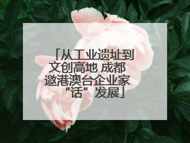 从工业遗址到文创高地 成都邀港澳台企业家“话”发展